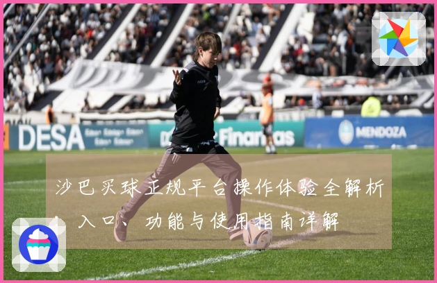 沙巴买球正规平台操作体验全解析：入口、功能与使用指南详解