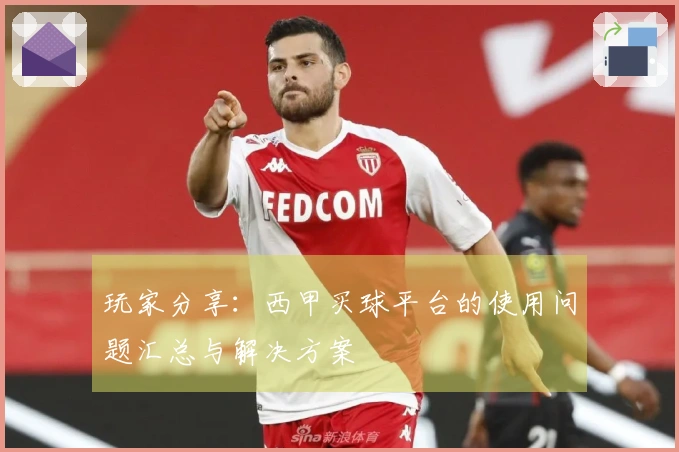 玩家分享：西甲买球平台的使用问题汇总与解决方案