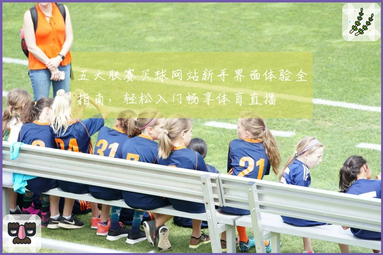 五大联赛买球网站新手界面体验全指南，轻松入门畅享体育直播