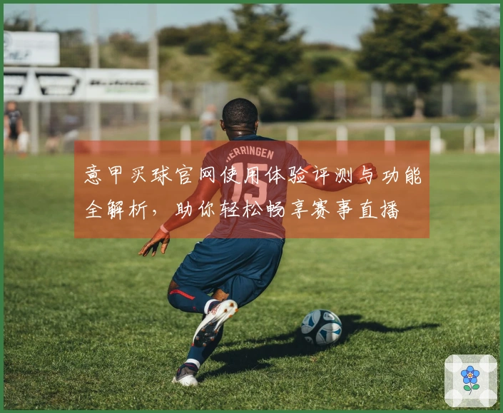意甲买球官网使用体验评测与功能全解析，助你轻松畅享赛事直播