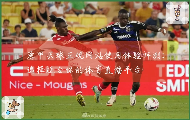 意甲买球正规网站使用体验评测：选择适合你的体育直播平台