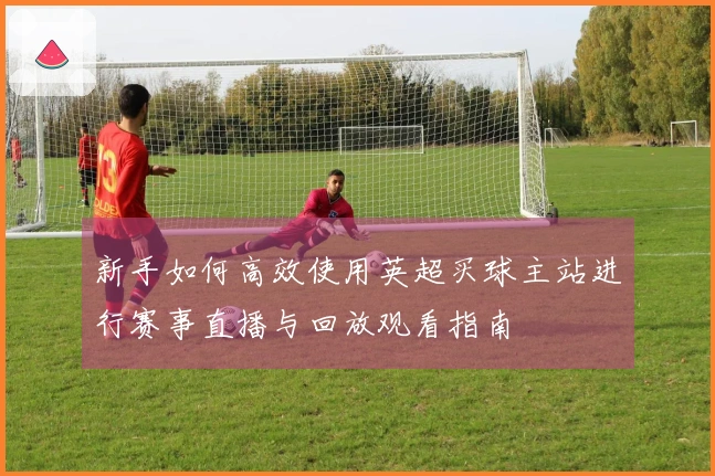 新手如何高效使用英超买球主站进行赛事直播与回放观看指南