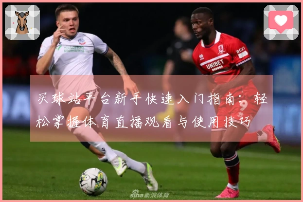 买球站平台新手快速入门指南：轻松掌握体育直播观看与使用技巧