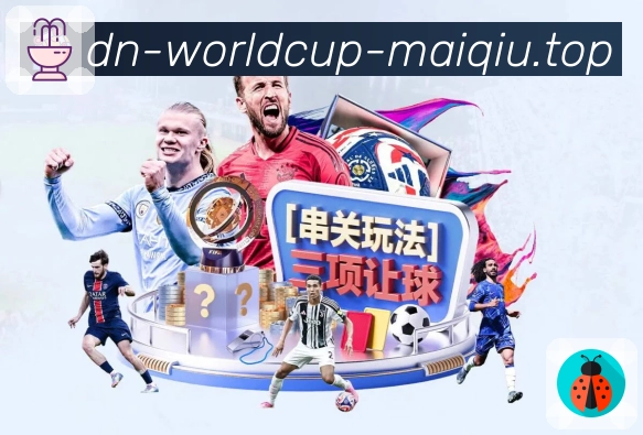奖项证书